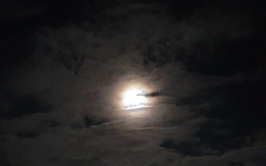 2022-04-16 Ostervollmond – Eiertanz