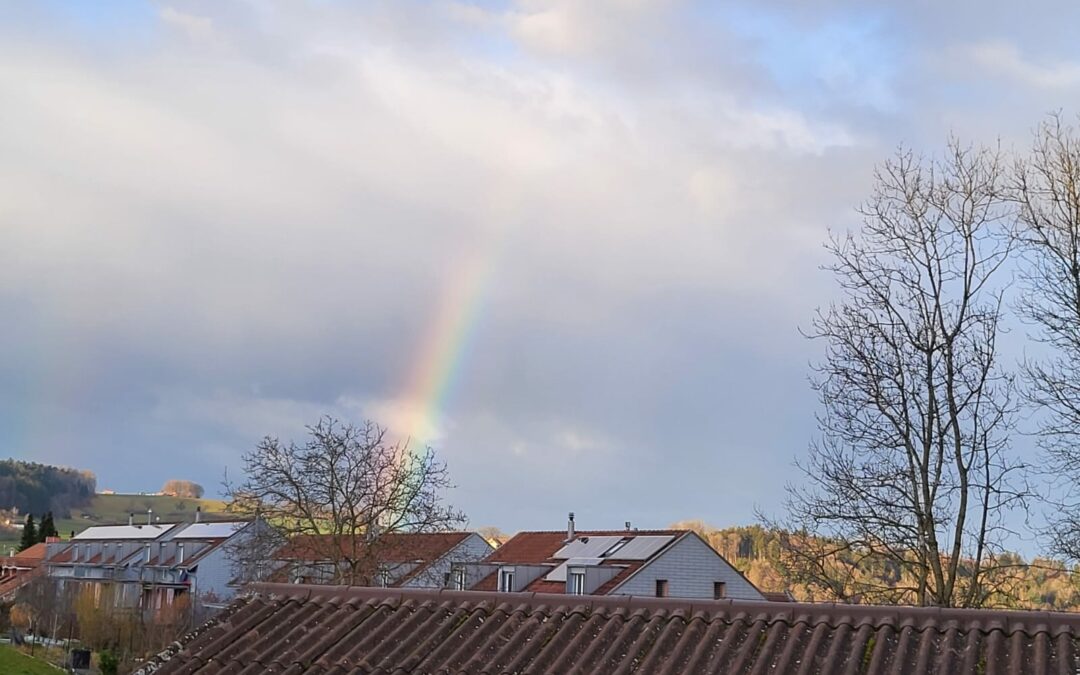 2023-03-15 Anam Cara im Garten oder am Cheminee