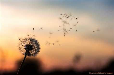 2023-05-18 Anam Cara der Himmel auf Erden