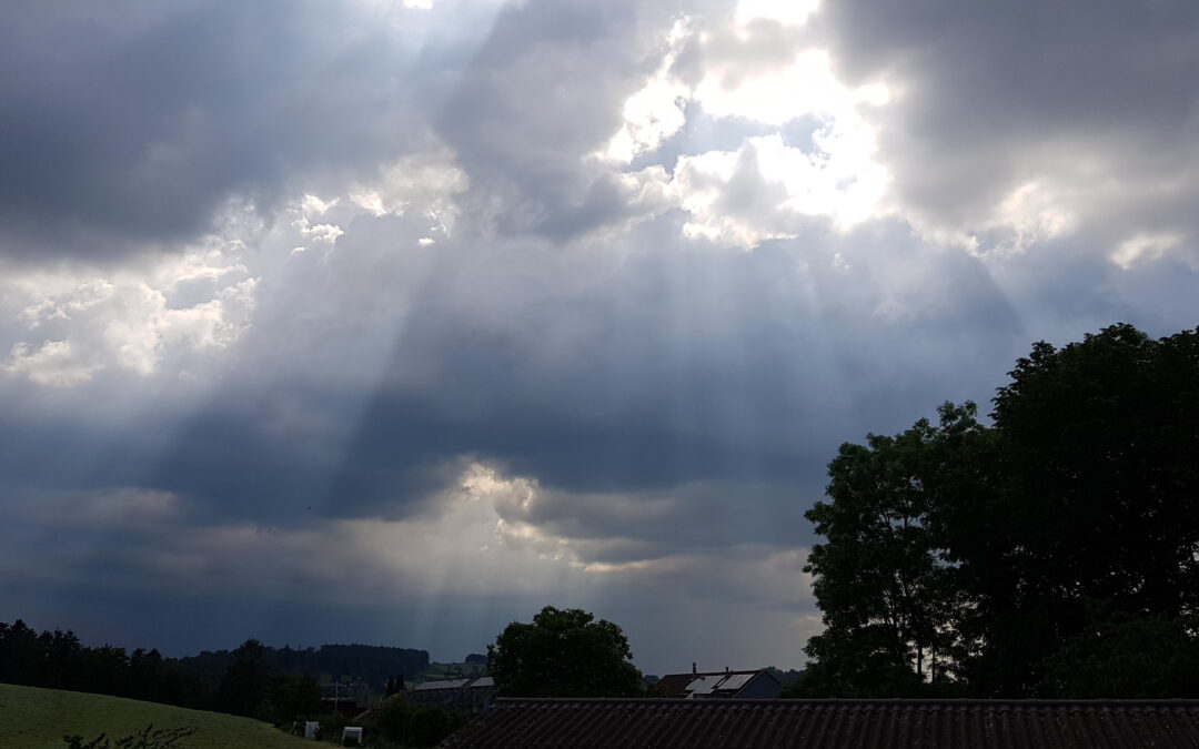 2023-06-01 Anam Cara – Download und Update