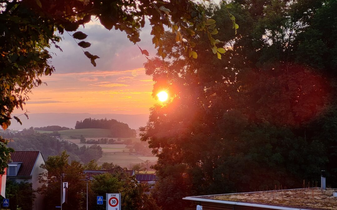 2023-07-06 Anam Cara – Der ganz normale Wahnsinn