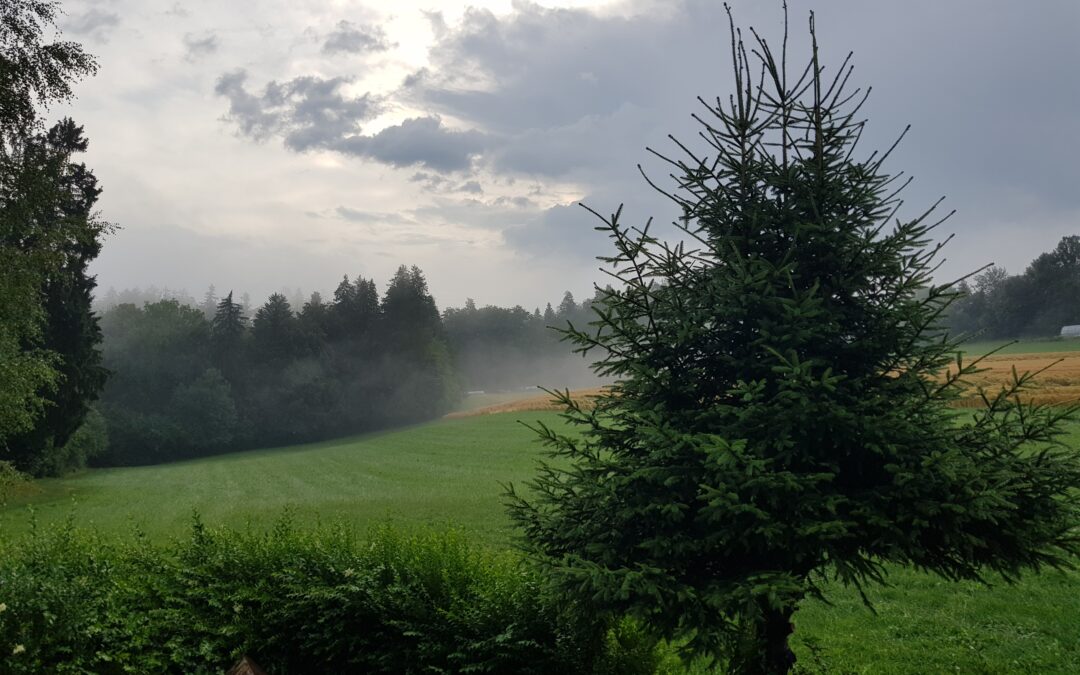 2023-07-13 Anam Cara – Gewitterstimmung