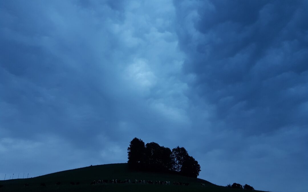 2023-08-17 Anam Cara in Blau