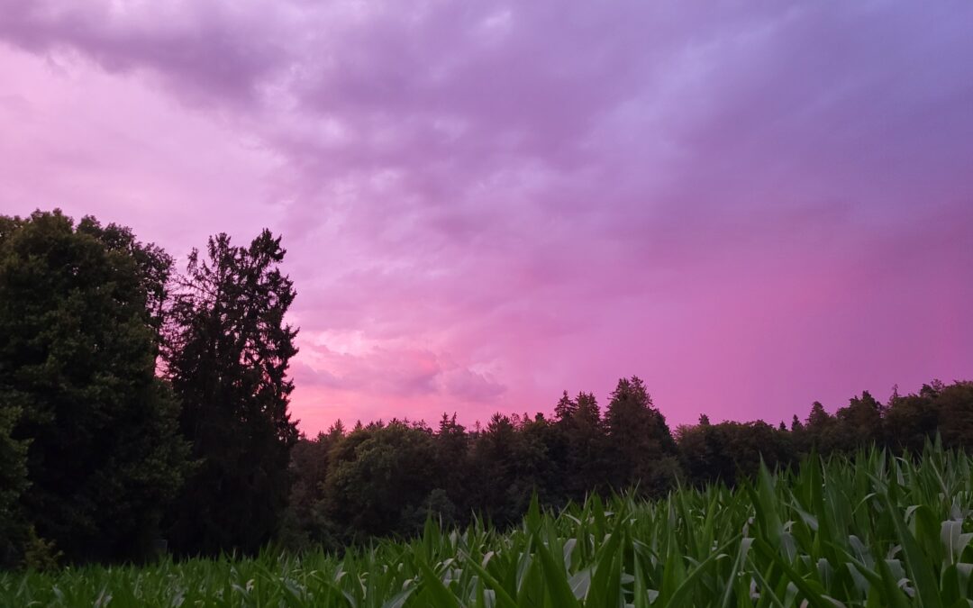 2024-07-25 Anam Cara: Zuckerwatta am Himmel und d Wüet im Ranze